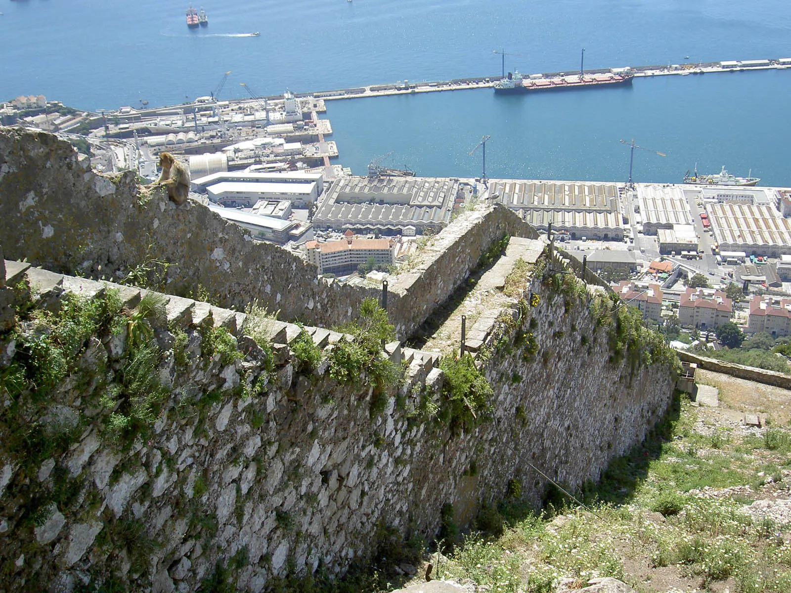 Charles V Wall
